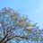 photo-1680458842508-e30d36b1cba5 - losangelesgardenpros.com